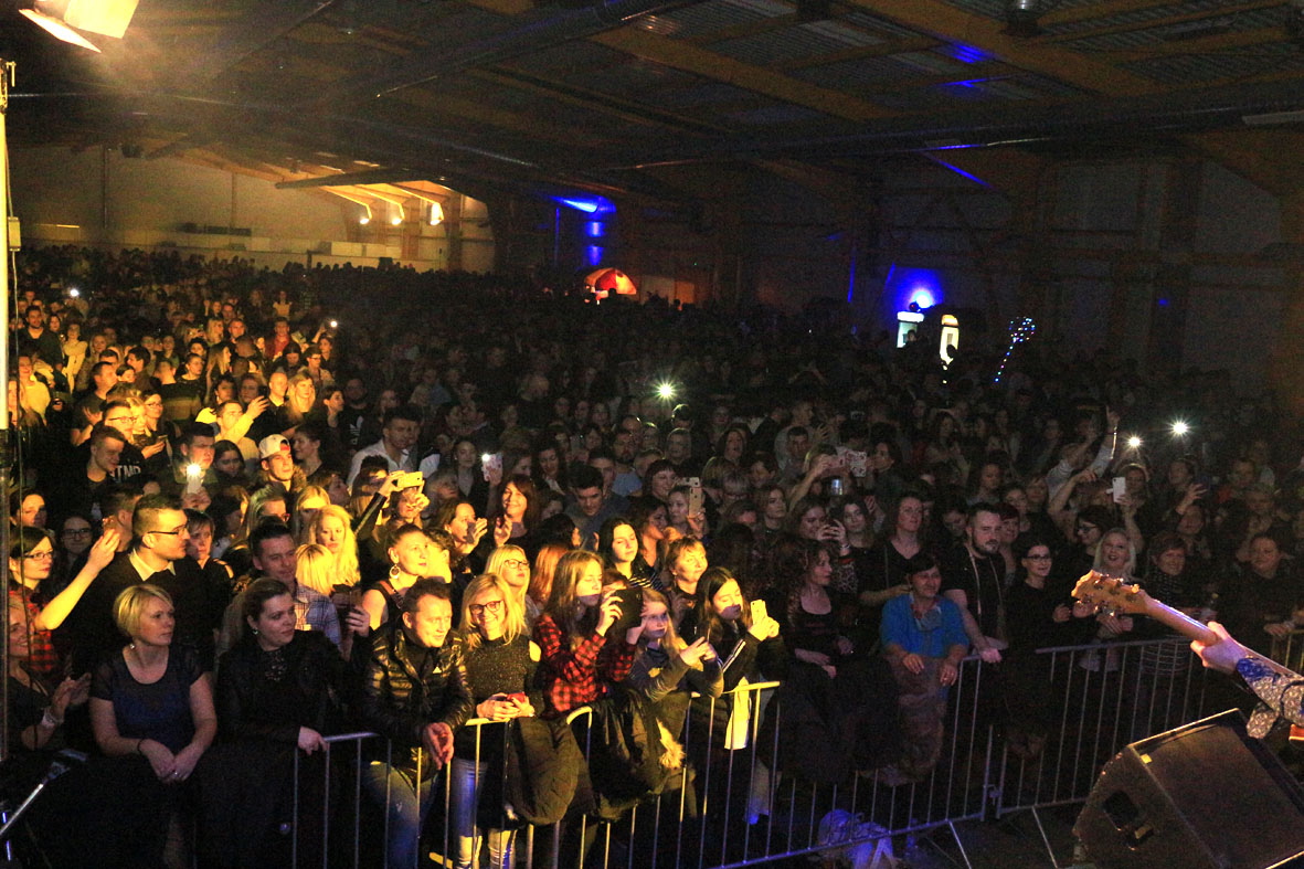 Tragovi, Bane Mojićević i Vigor ispunili Mesap