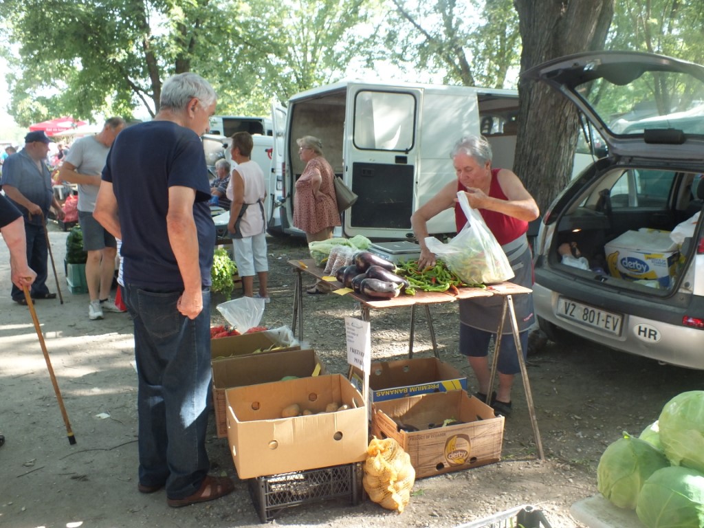 Image 5810921 (auto)