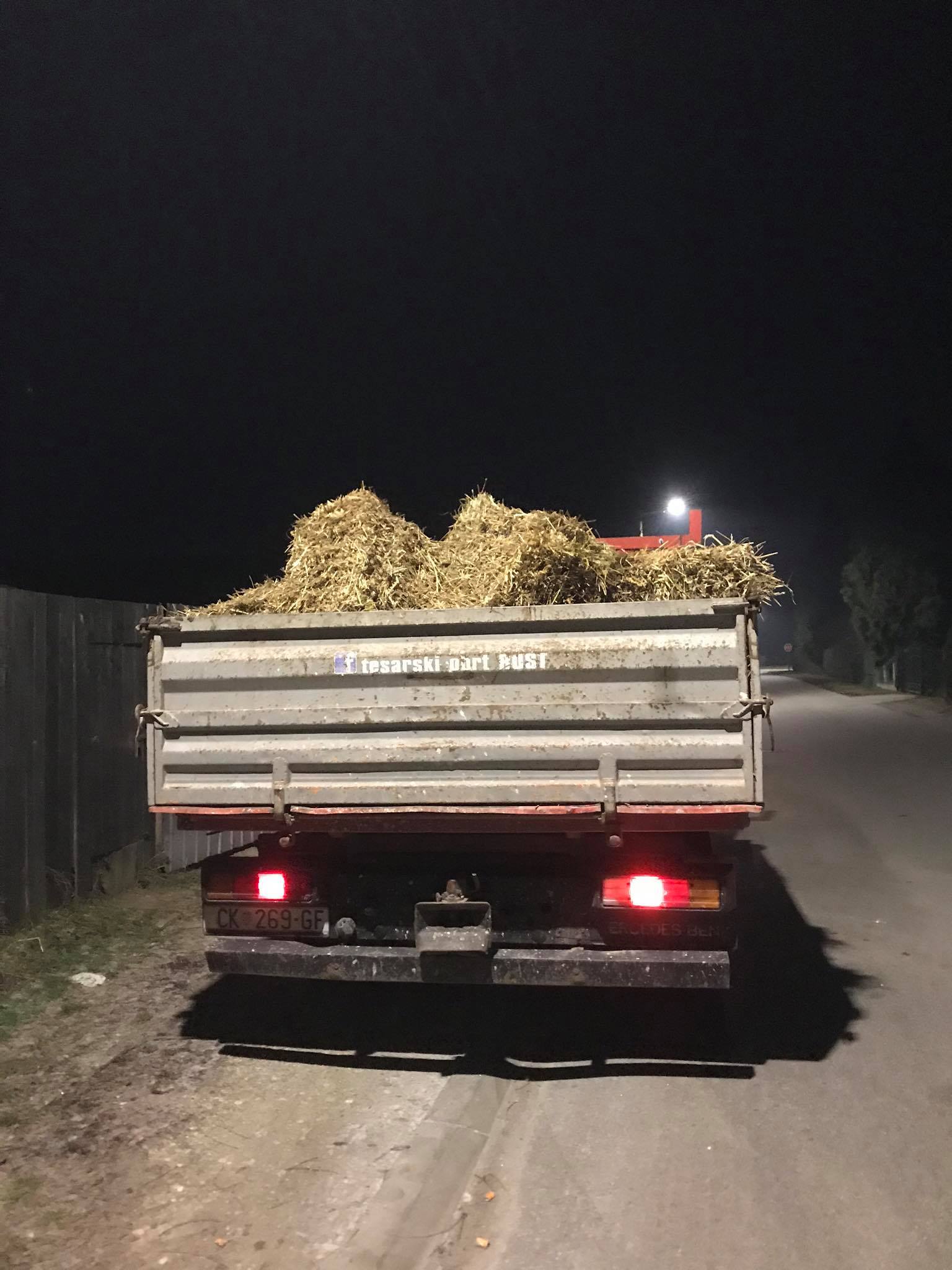 VIDEO I FOTO Potepanje u Savskoj Vesi: Zaručili su se Ksenija i Josip!