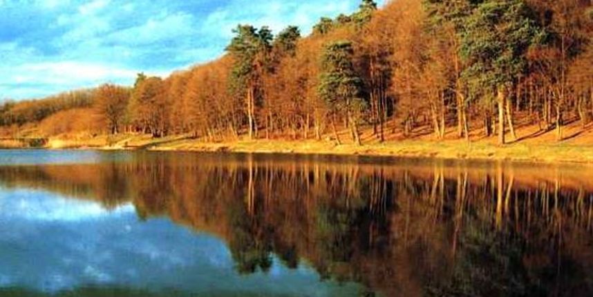 retencijabalgovec167549 retencijabalgovec167549