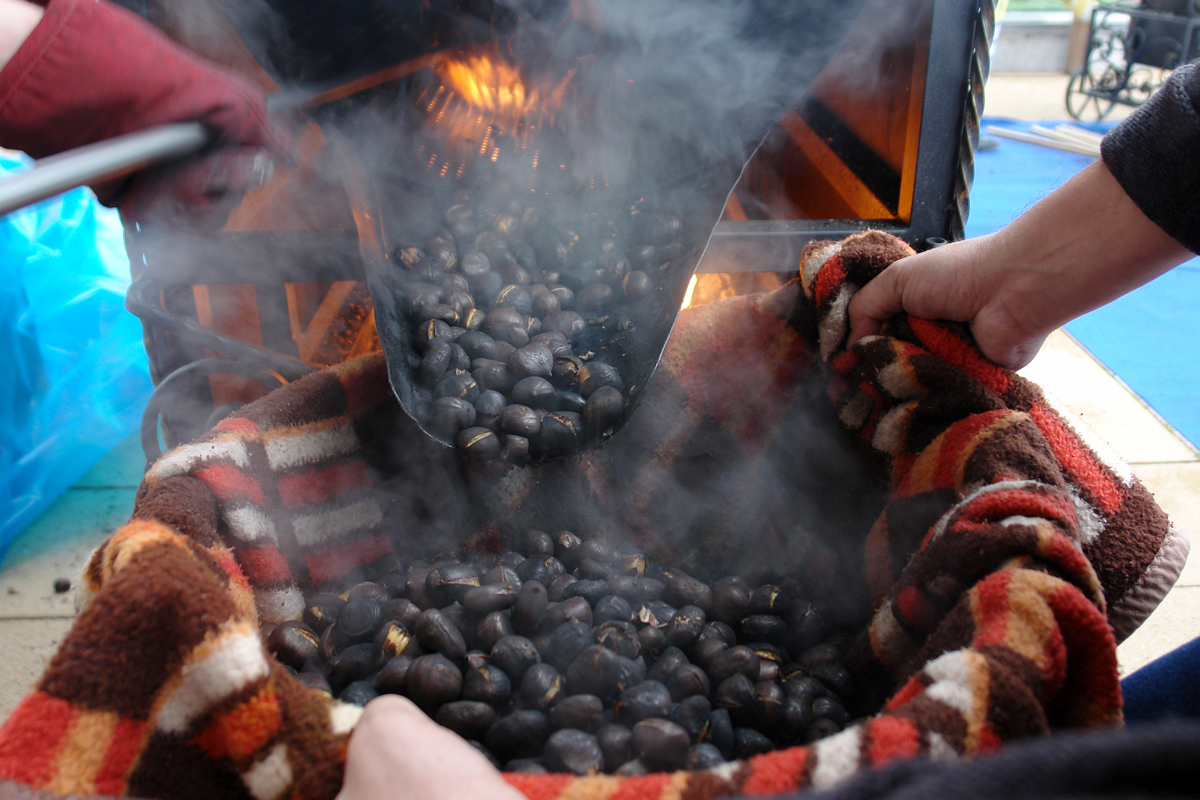 261810370dsc09846750483