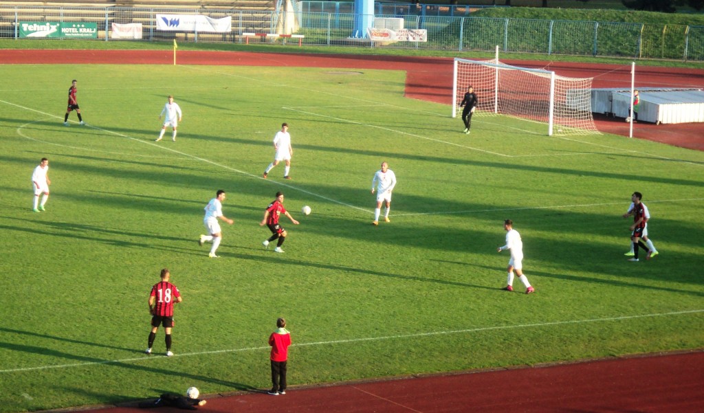 dsc03365706809