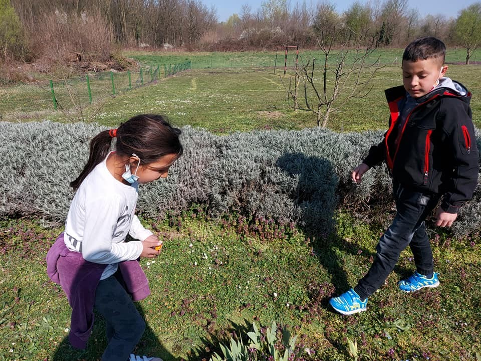 FOTO Područna škola Držimurec – Strelec: U dvorištu ih iznenadio zeko koji im je donio poklončiće za Uskrs FOTO Područna škola Držimurec – Strelec: U dvorištu ih iznenadio zeko koji im je donio poklončiće za Uskrs