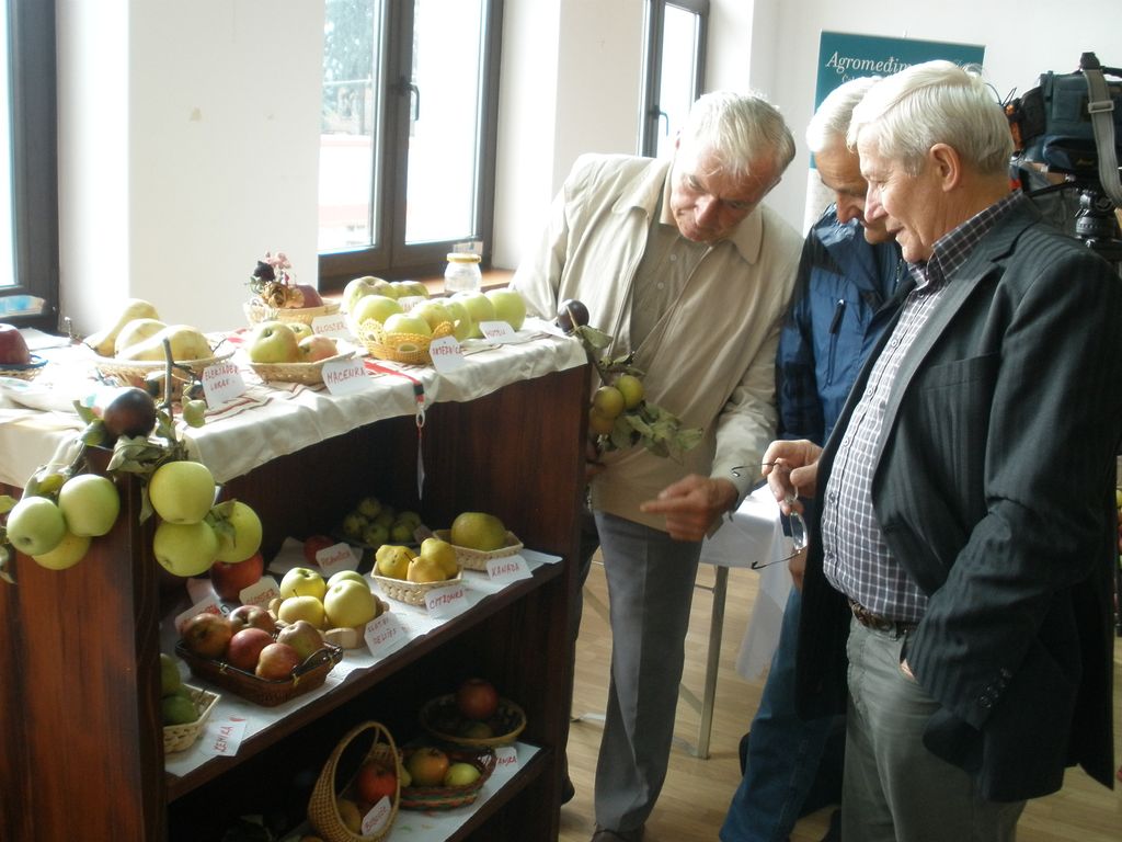 svjetskejabuke17396754