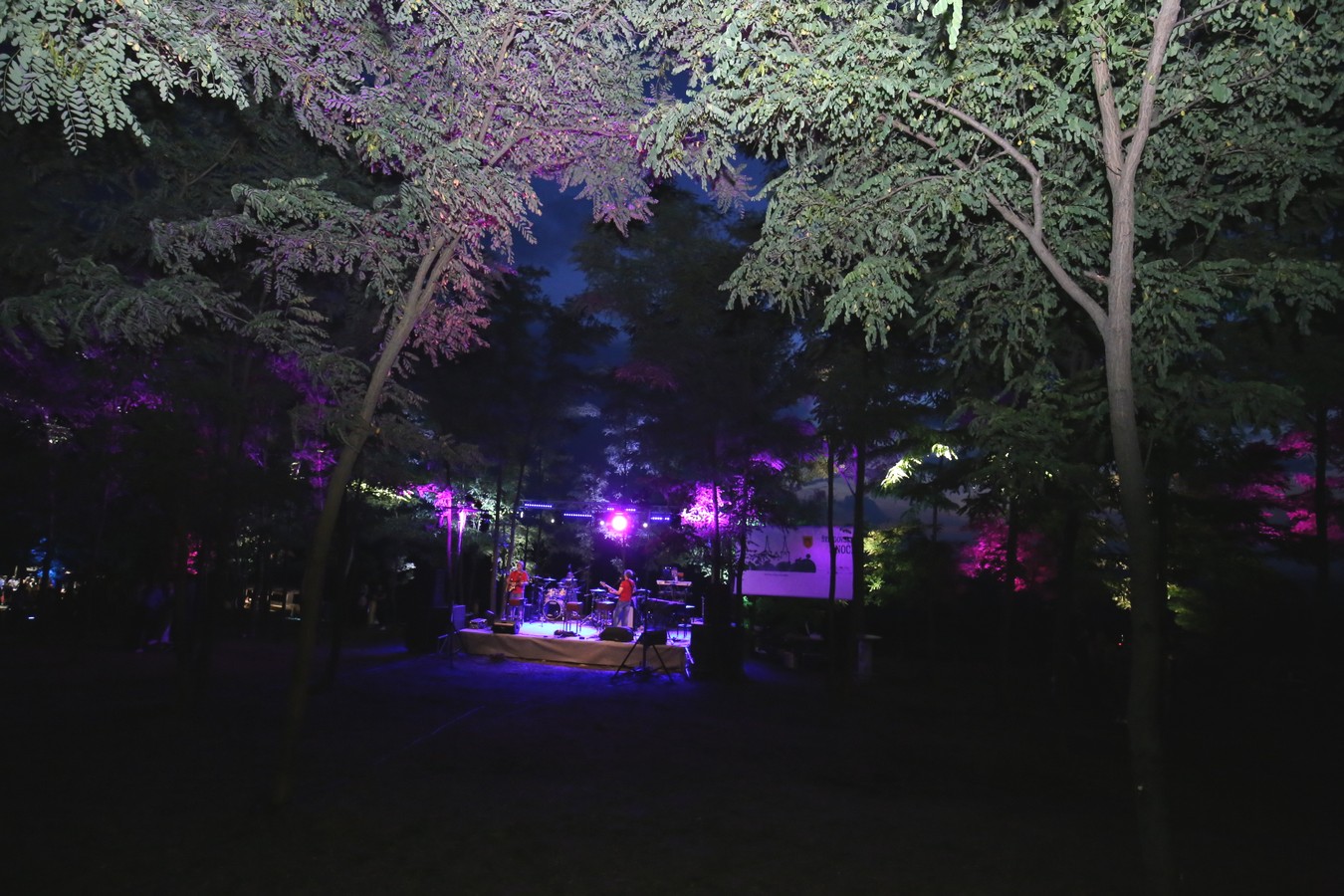 Odličan koncert Vatre u predivnom ambijentu Mađerkinog brega