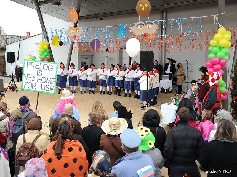 333614290dsc3641246619