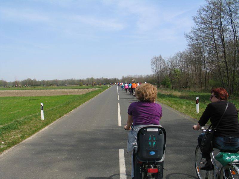 1232140510204634843670104262927