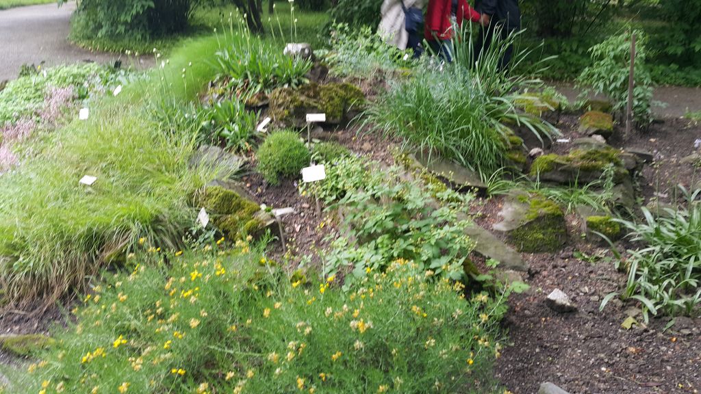 20160510141626747831