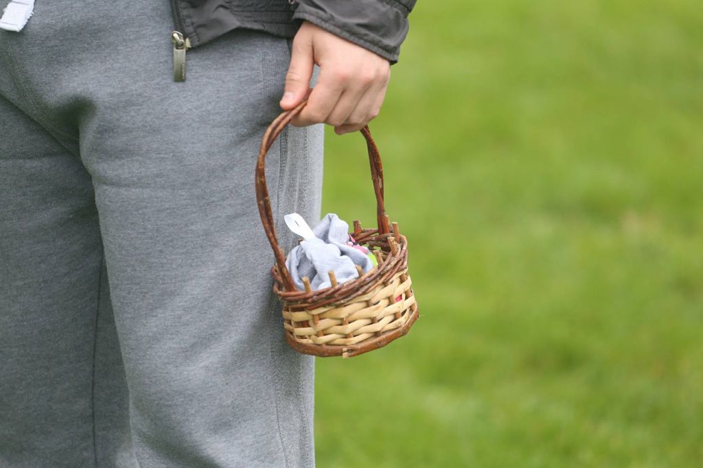 2988350210214694487212784137207