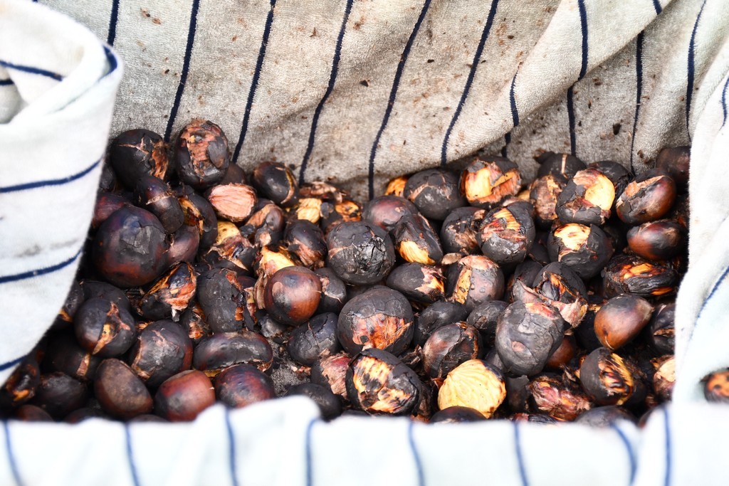 Jesen u Čakovcu 2023