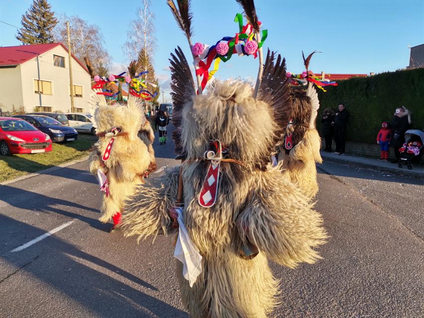 Fašnik u Zasadbregu