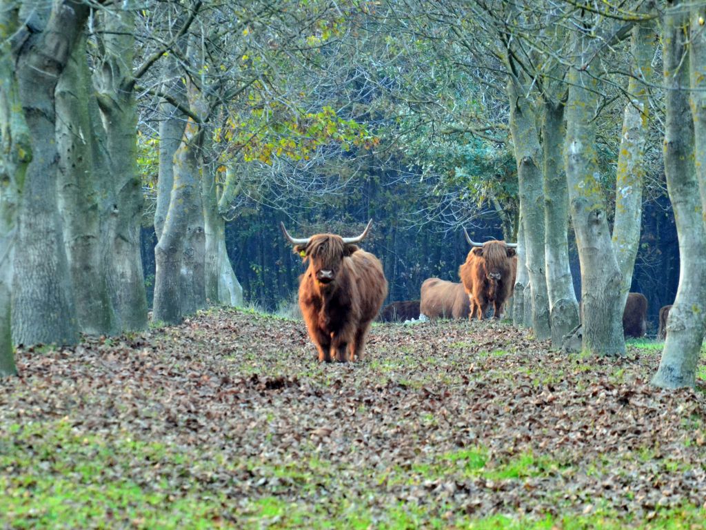 marinamezgarogovivratisinec9585