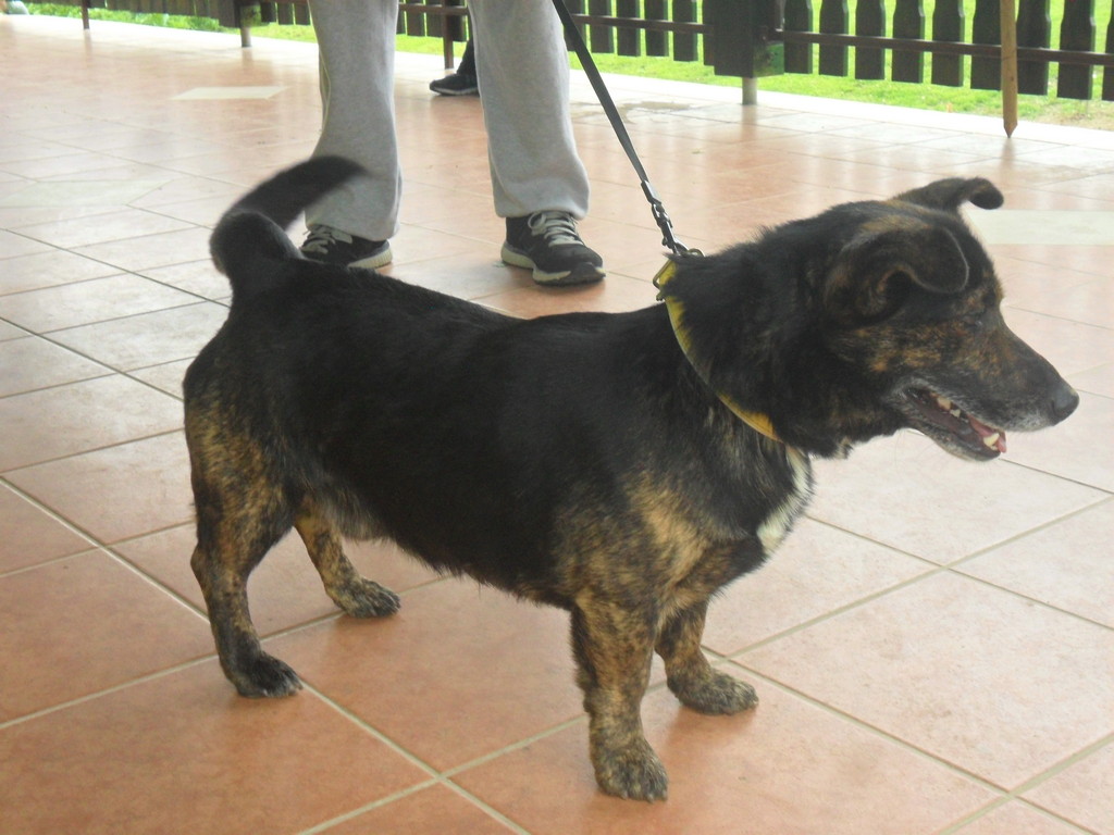 fotografija00016181143