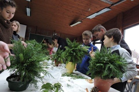 savjetsrednjoskolacadobronamdod