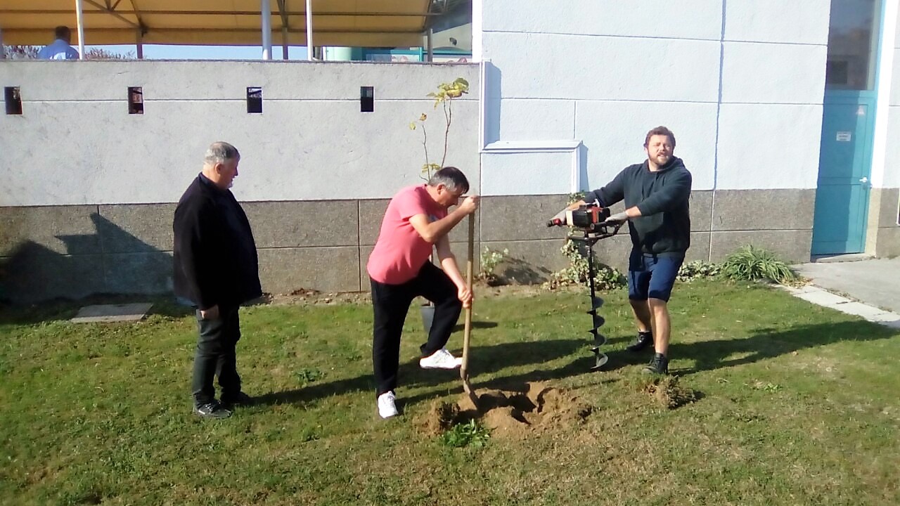 BRAVO, MEĐIMURCI U akciji sadnje drveća na širem čakovečkom području posađeno stotine novih stabala BRAVO, MEĐIMURCI U akciji sadnje drveća na širem čakovečkom području posađeno stotine novih stabala