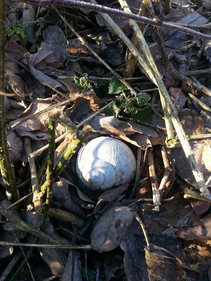 1252297554520281565822737856630