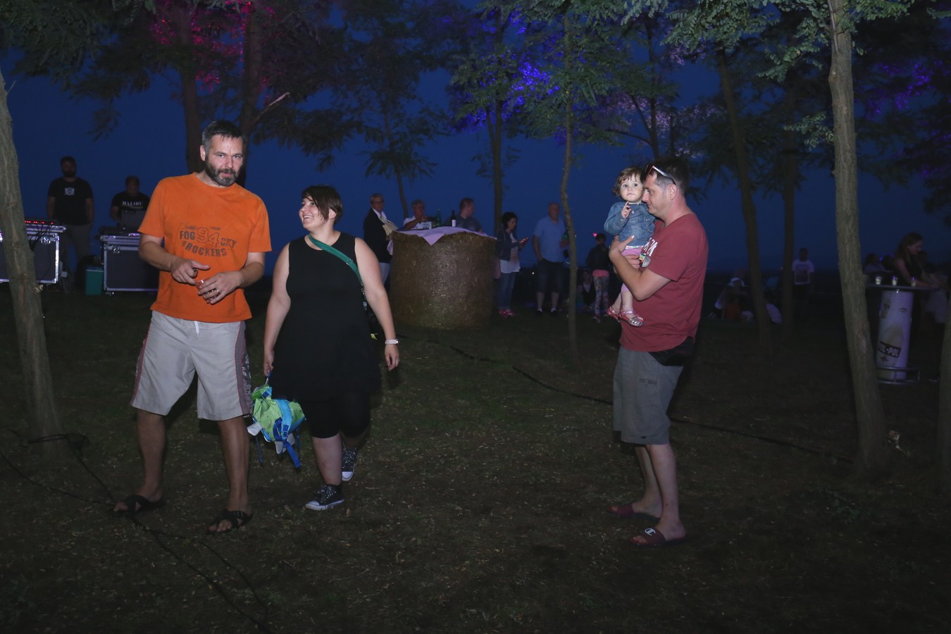 Odličan koncert Vatre u predivnom ambijentu Mađerkinog brega