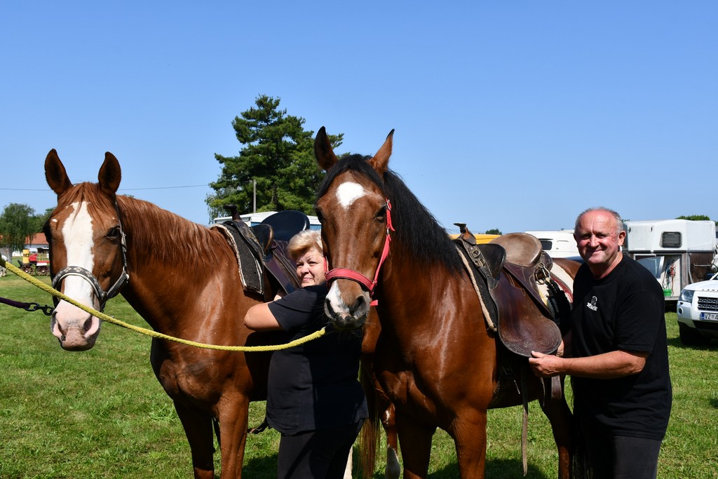 VIDEO I FOTO Međunarodno konjičko druženje okupilo brojne uzgajivače konja iz SZ Hrvatske te Slovenije i Austrije