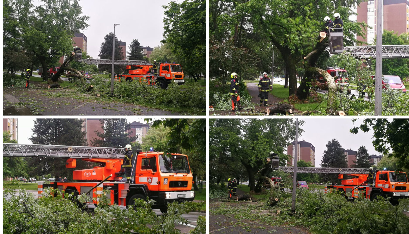 U Čakovcu se srušilo stablo