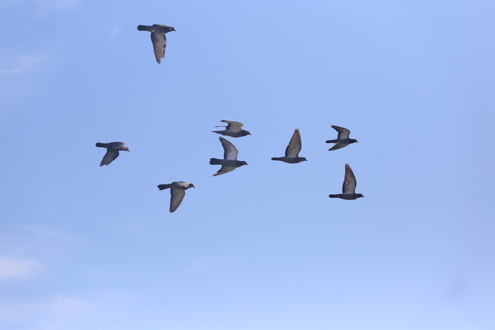 Klikom po Marini (Nedjelja, 20.10.2019)