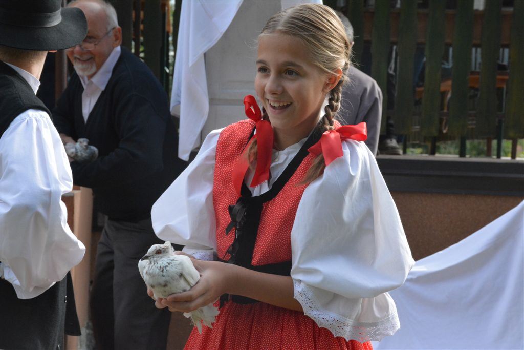 dsc4197kopijakopija789337