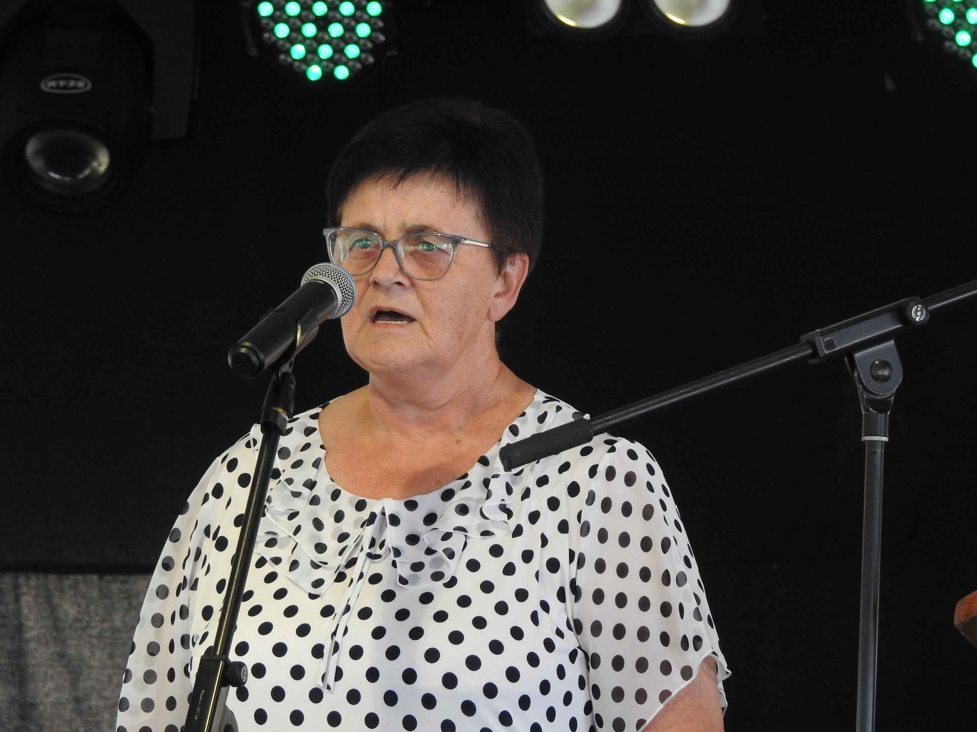cecilija merkač PRIBISLAVEC Jučer je na aerodromu održana svečana sjednica, pogledajte nagrađene