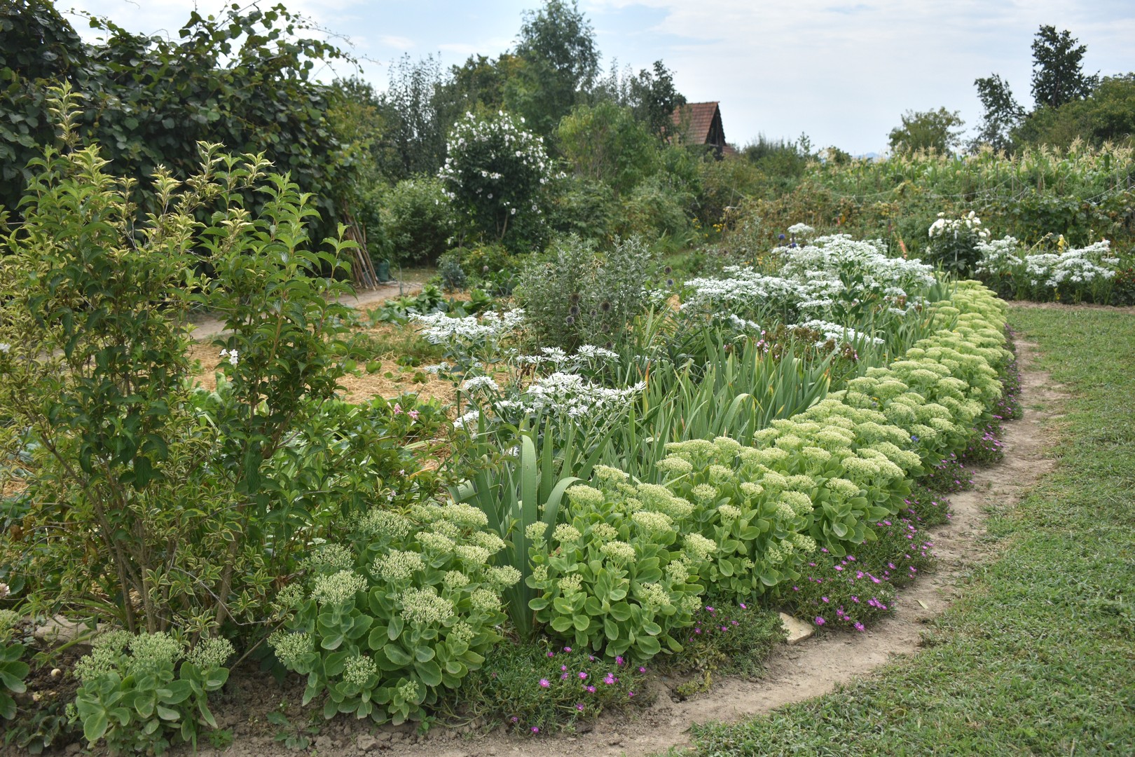OKUĆNICA OD KOJE ZASTAJE DAH Kivi u cvjetnom carstvu Nadice Toplek