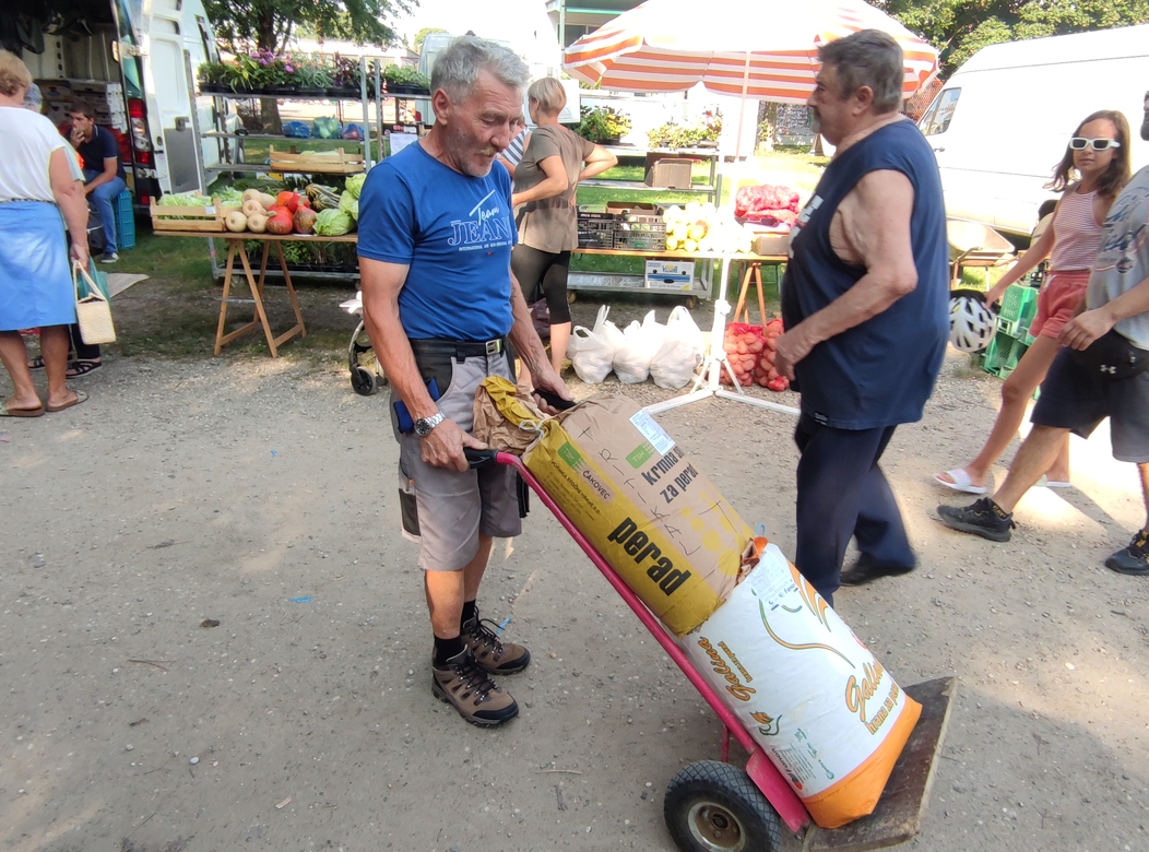 Image 5810813 (auto)