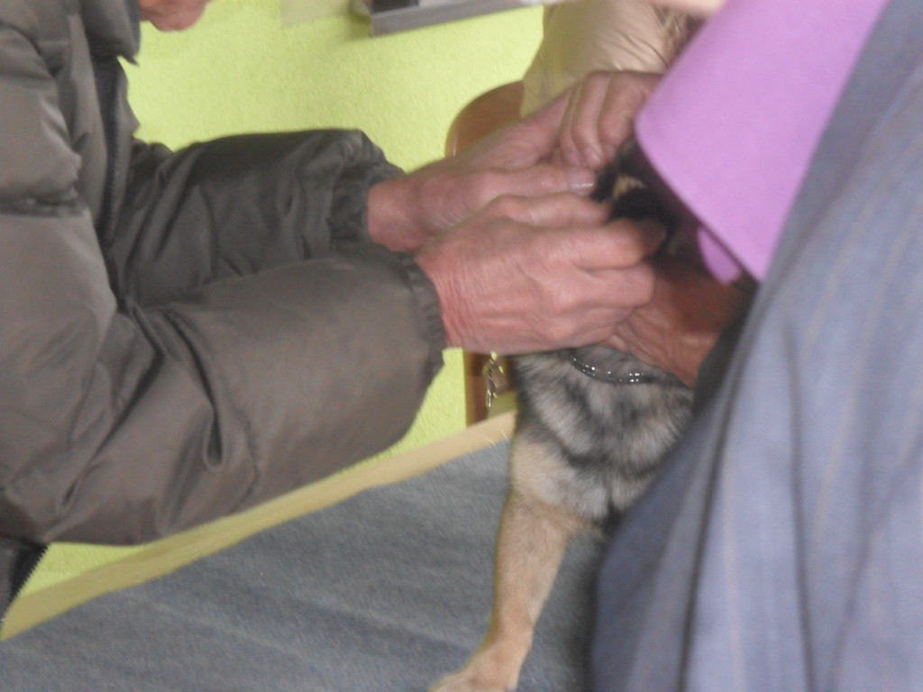 fotografija00012814477