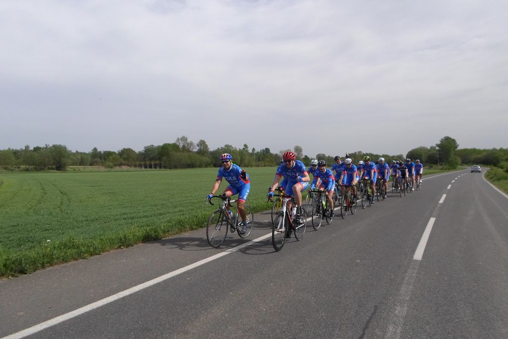 bimep0039747578201484