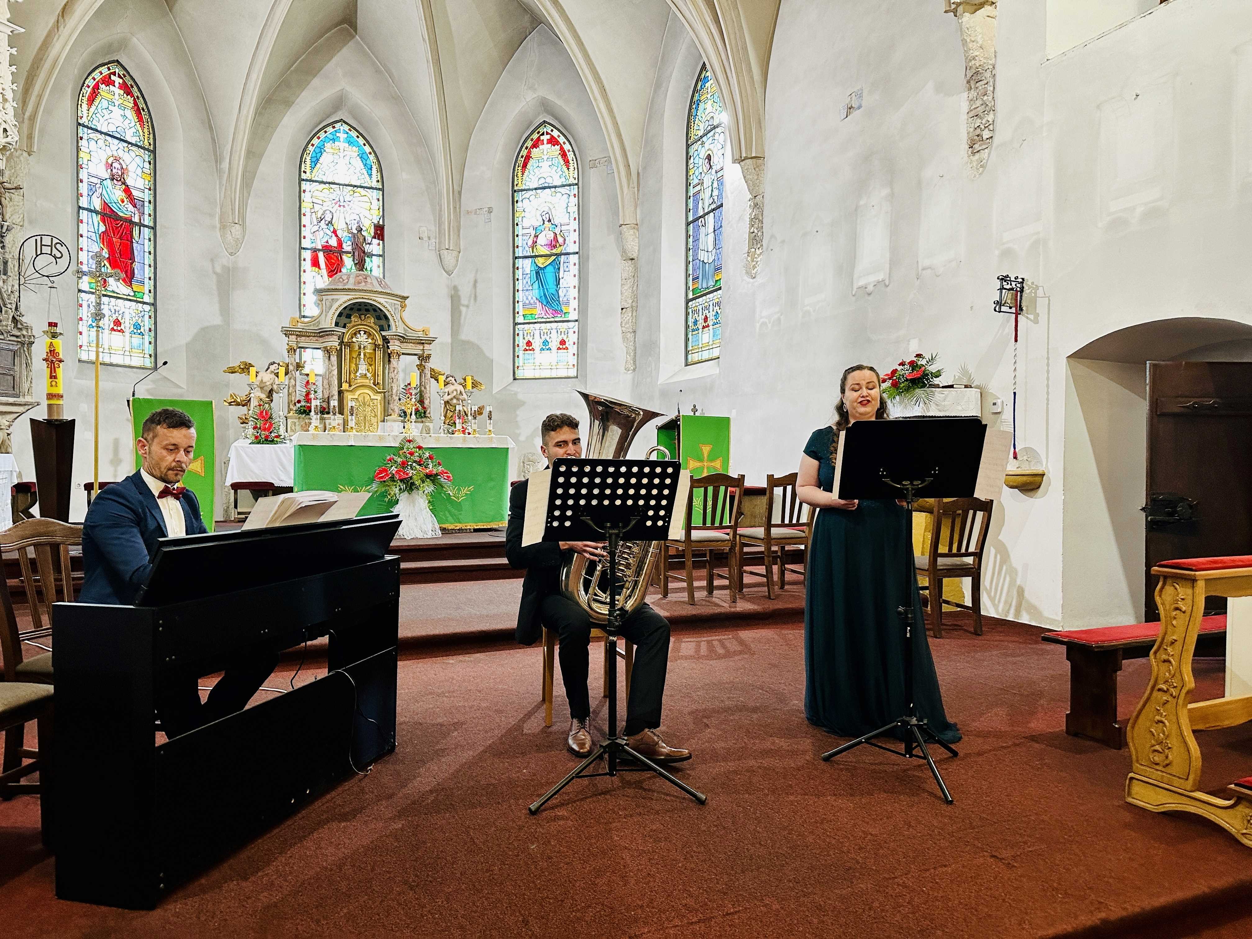 Koncert u Nedelišću