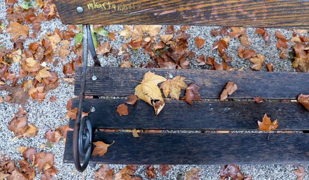 lišće jesen prognoza