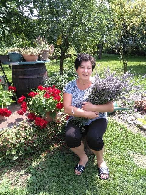 Dvorište obitelji Cenko