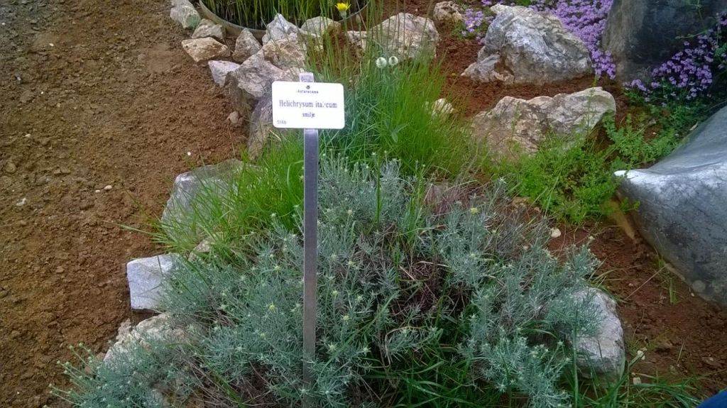 4cac6641a1dabc730998638b47ae2c5