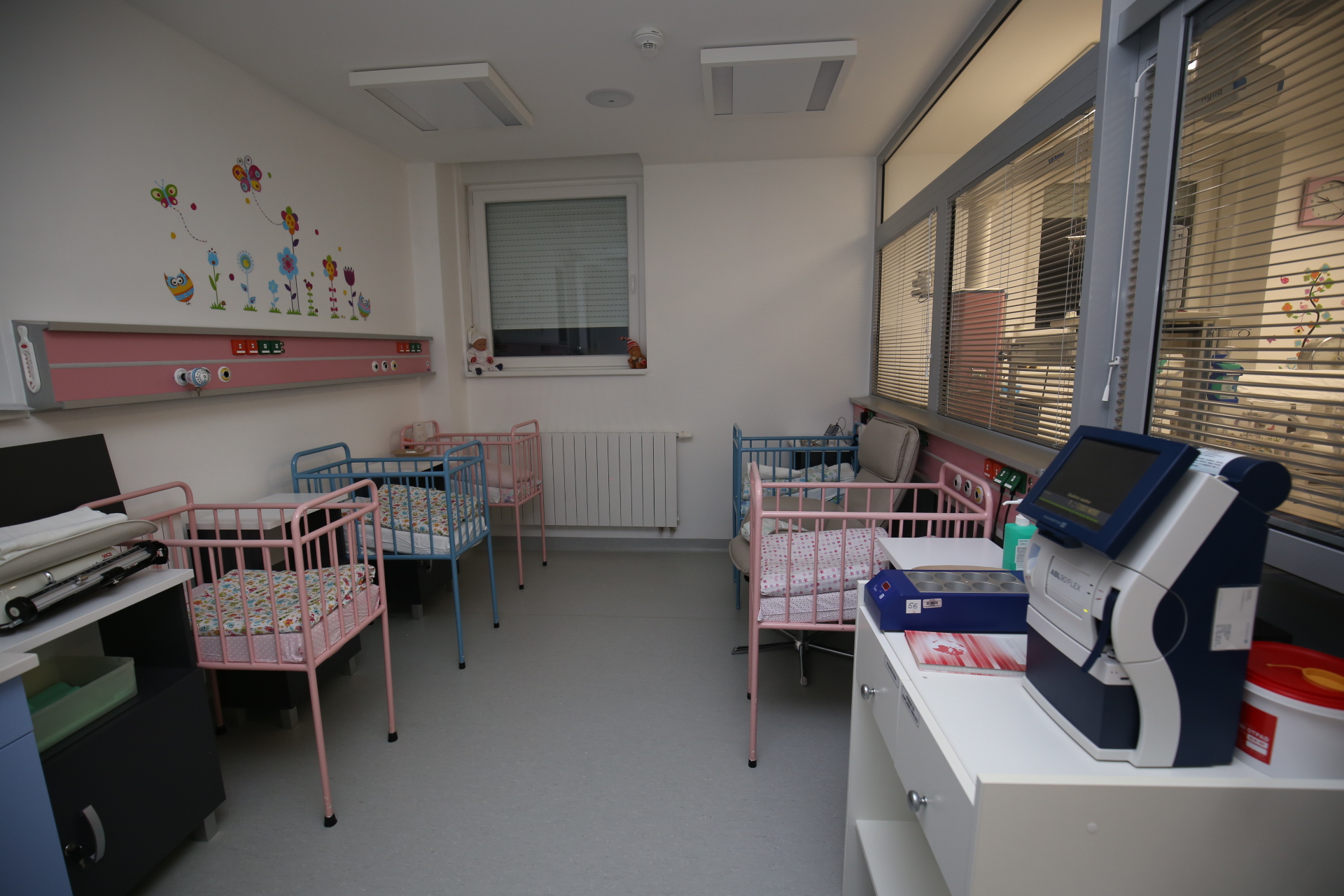 Mala Alisa prva beba u Međimurju u novoj godini