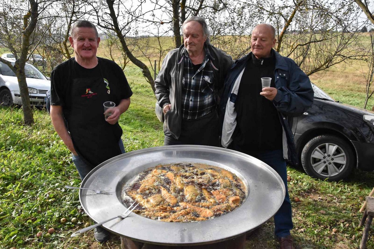 FOTO Ukusne i zdrave jabuke, zakuska i zabavni program za posjetitelje Izložbe starih i novijih sorti jabuka FOTO Ukusne i zdrave jabuke, zakuska i zabavni program za posjetitelje Izložbe starih i novijih sorti jabuka