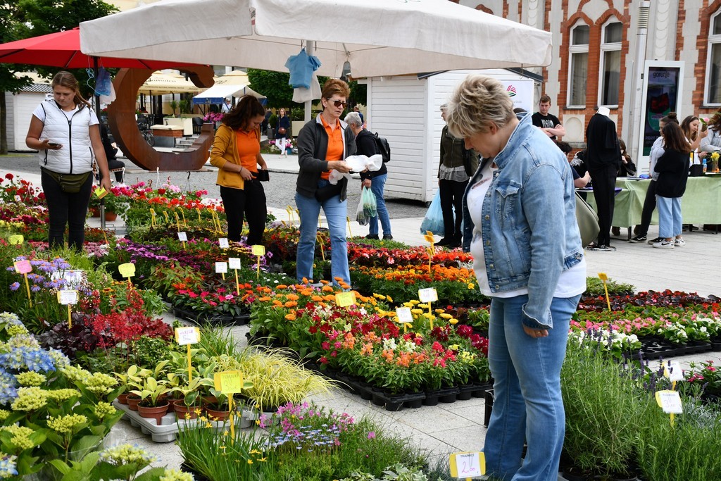 Festival jagoda, cvijeća i tradicije