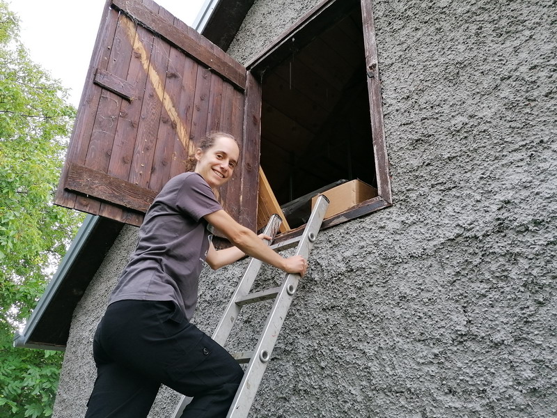 PRIČA IZ VUČETINCA Ogromno stršljenovo gnijezdo više ne prijeti obitelji Blanke Janušić Klaić!