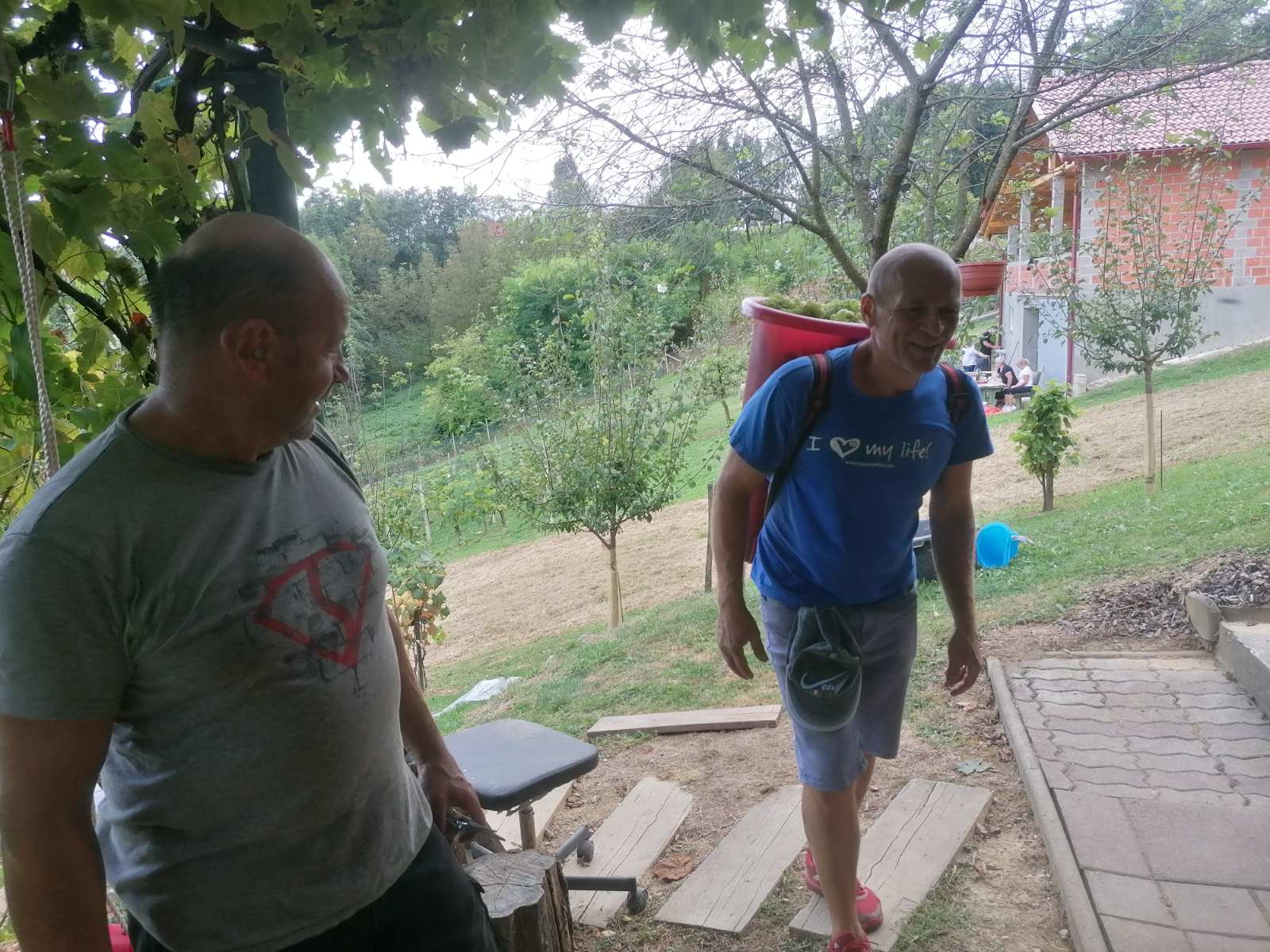 FOTO Berba na Balog bregu: Uz veselo društvo, sve se lako ‘pobere’!