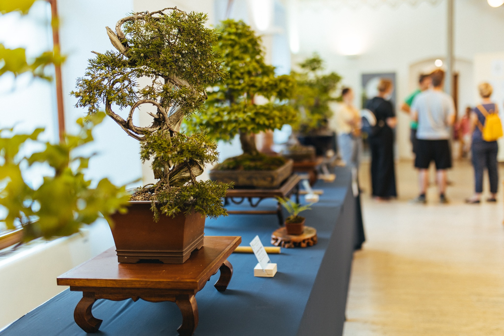 Porcijunkulovo – dan drugi