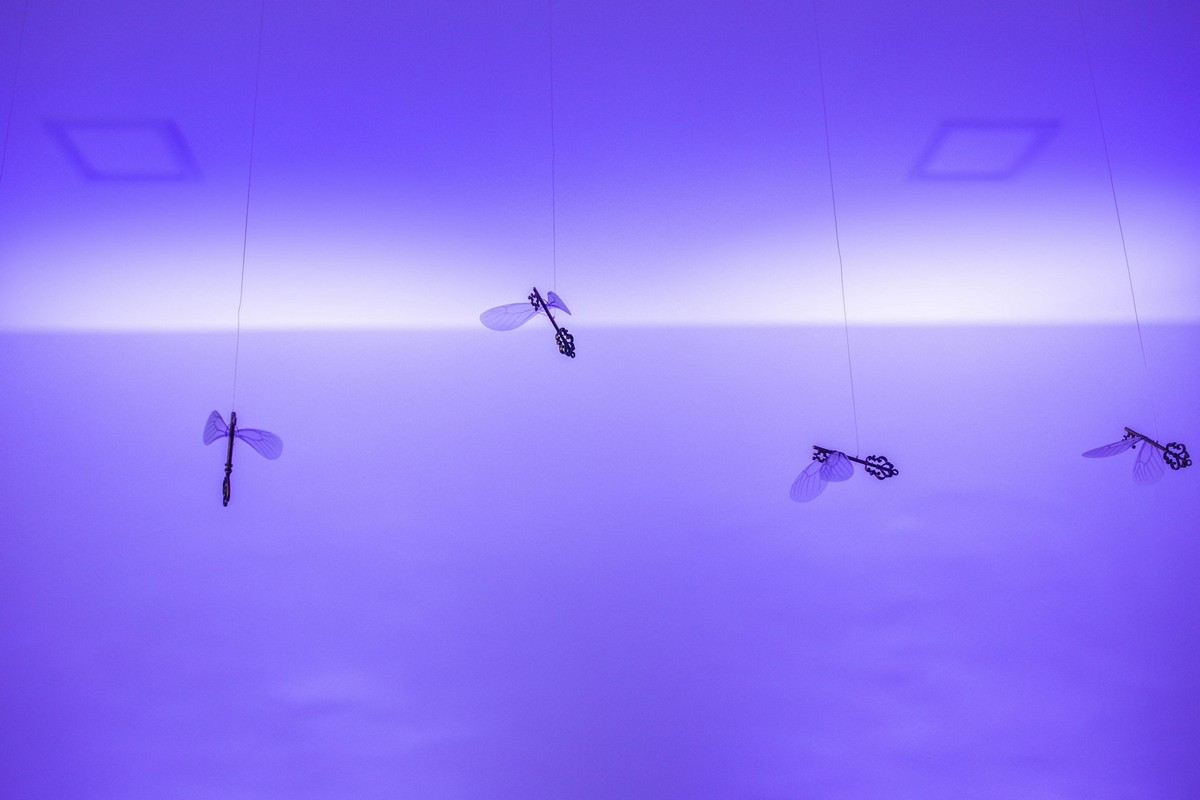 Harry Potter vječanje Harry Potter vječanje