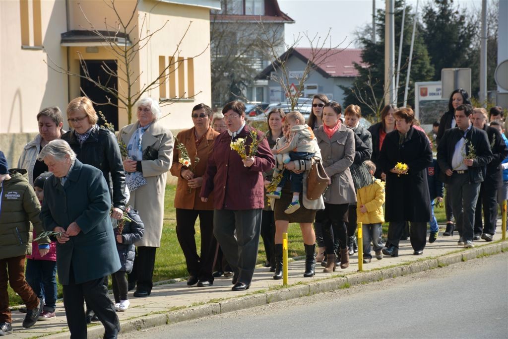 cvjetnica032016n330791