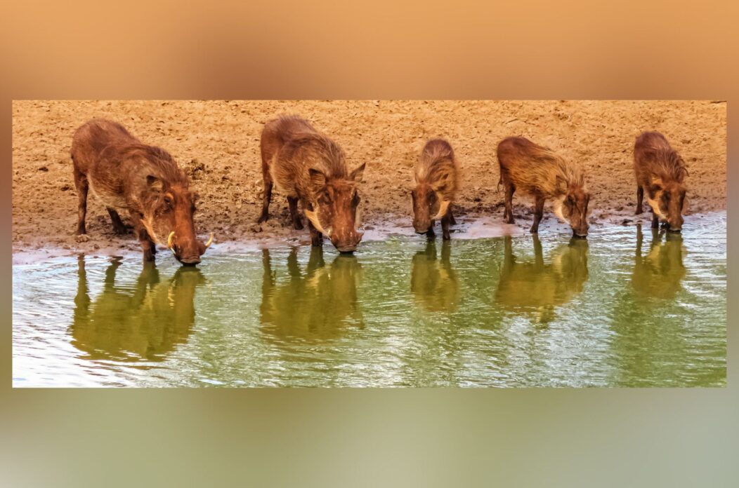Psiholozi otkrivaju 5 tipova ljudi koje trebate izbaciti iz života Psiholozi otkrivaju 5 tipova ljudi koje trebate izbaciti iz života