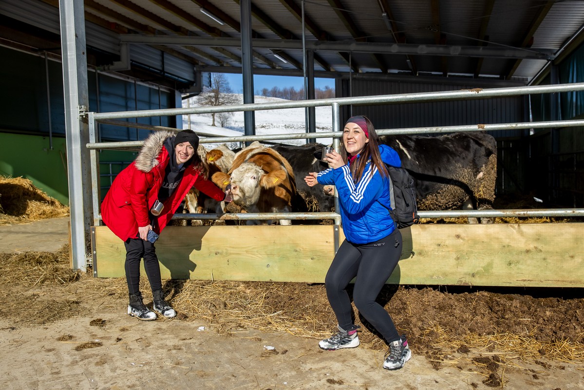 Vincekovo 2024., Štrigova Vincekovo 2024., Štrigova