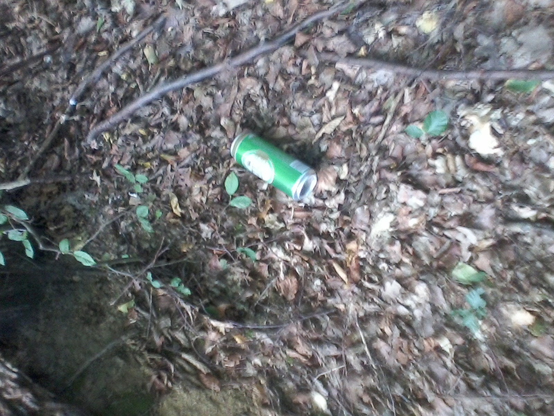 fotografija0013829933