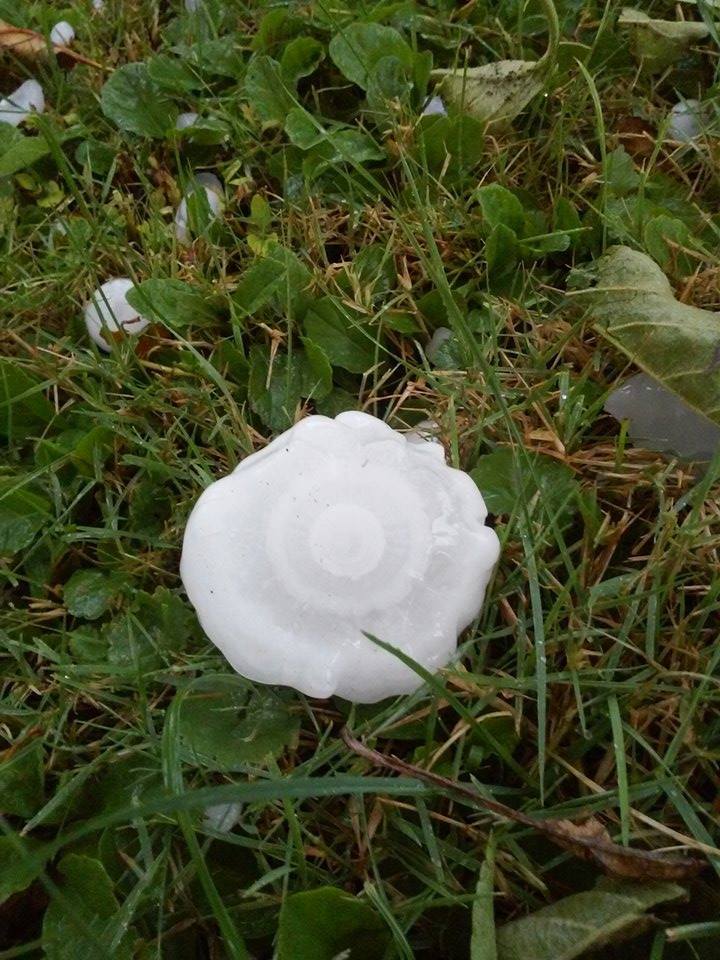 1172111711506319482868905859330