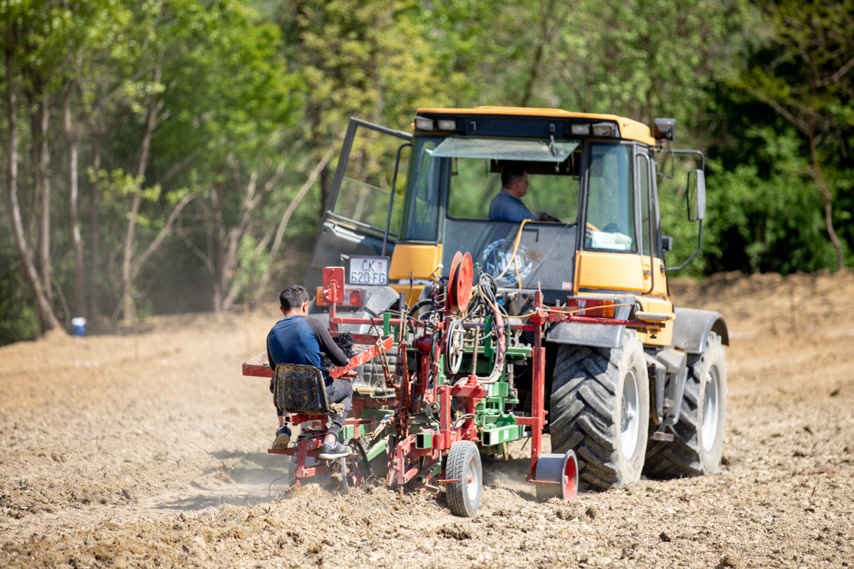 Vinarija Štampar na Mađerkinom bregu zasadila 14 tisuća čokota Pušipela