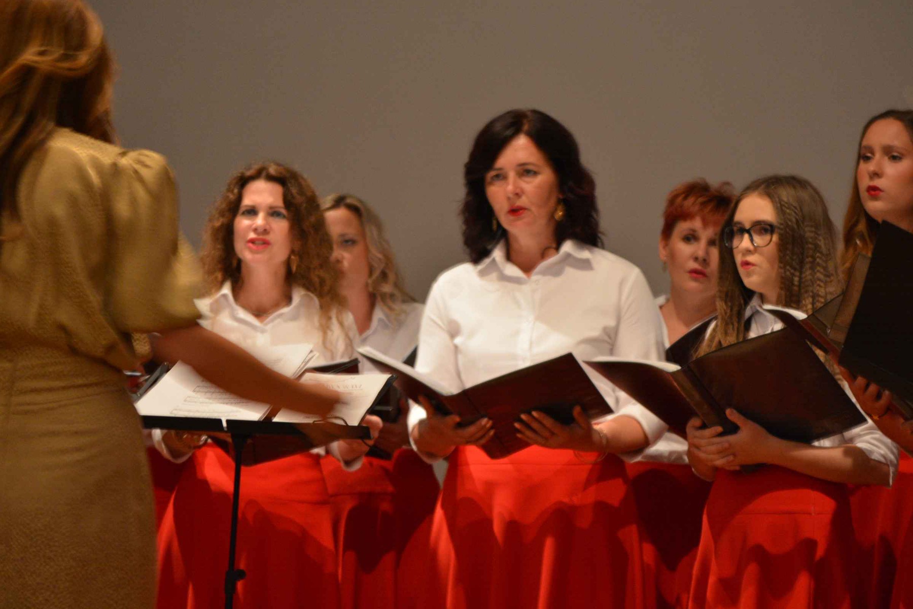 PREDIVNA SUBOTNJA VEČER Koncert Ansambla Pučpuljike