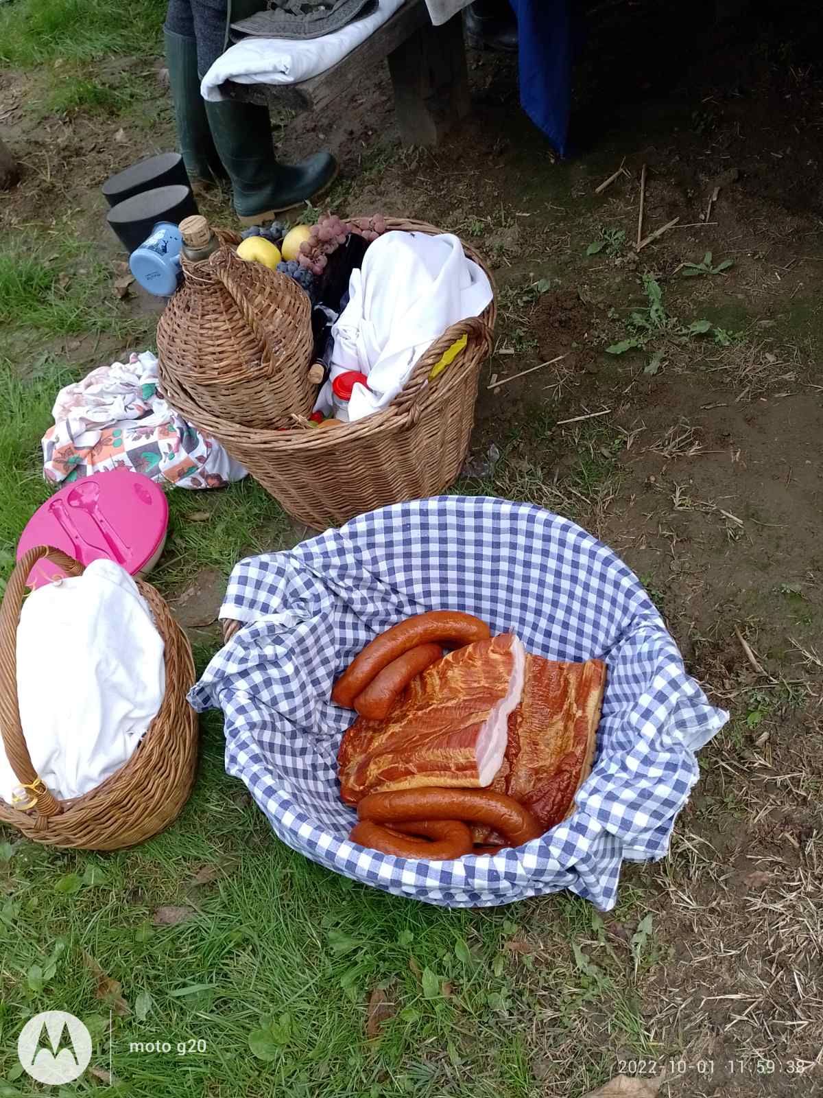 Branje kukuruza u Domašincu