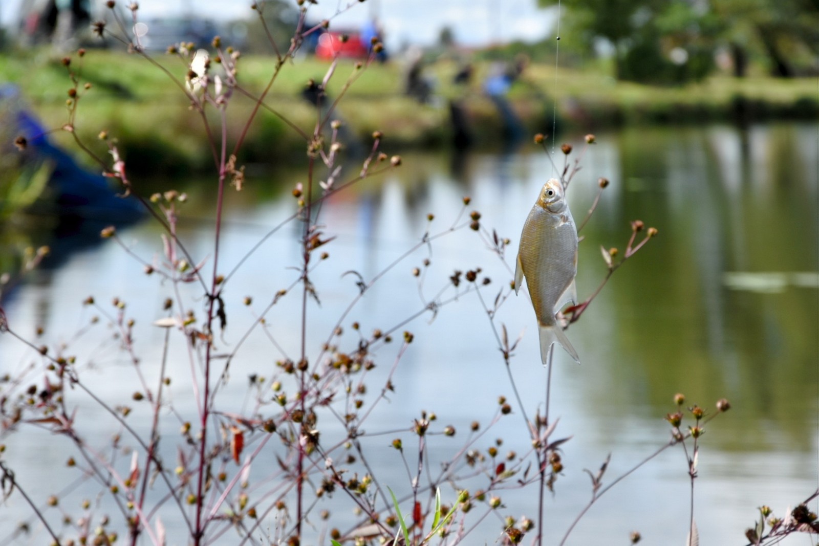 FOTO Na društvenom natjecanju u ribolovu pobijedio Tomislav Filipović s 2,86 kilograma ribe